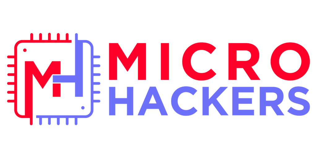 Innovating Cybersecurity: A Visionary Journey with MicroHackers' Founder
