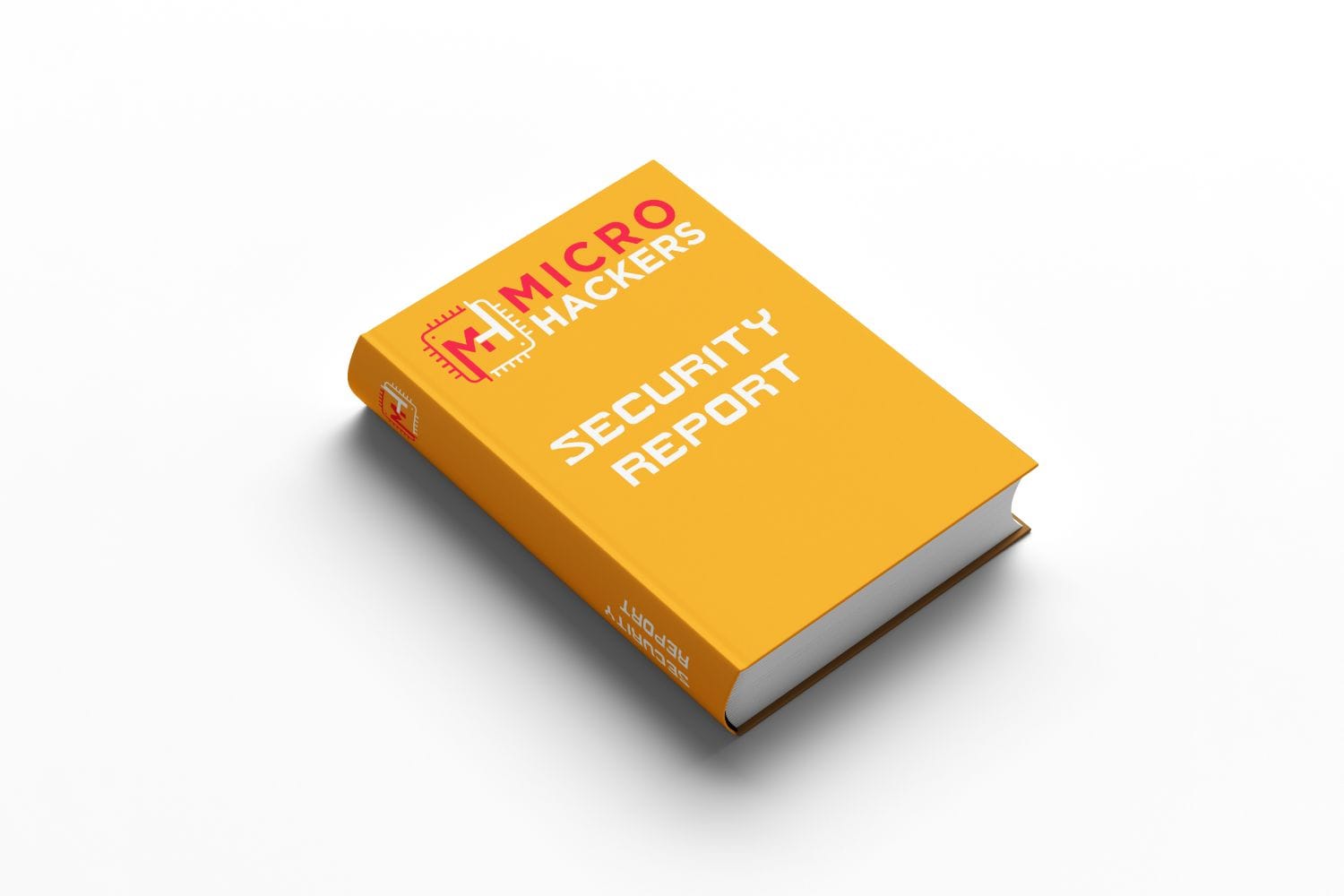 Ethical Hacking Sample Report
